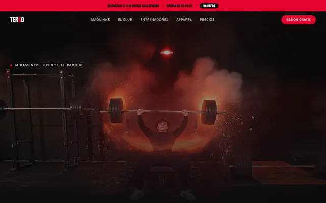 Ejemplo de web de TERKO