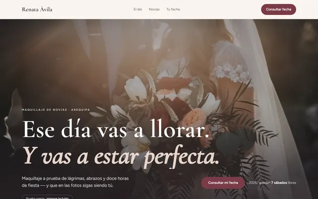 Ejemplo de web de Renata Ávila