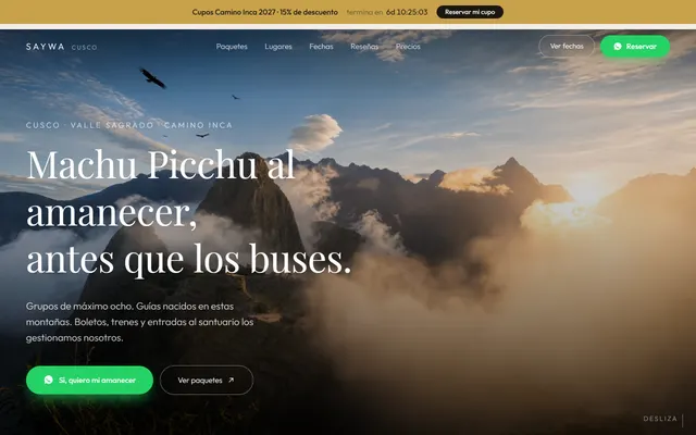 Ejemplo de web de SAYWA